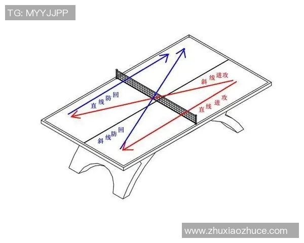 武汉乒乓球队区域防守体系解析与战术运用探讨实时数据